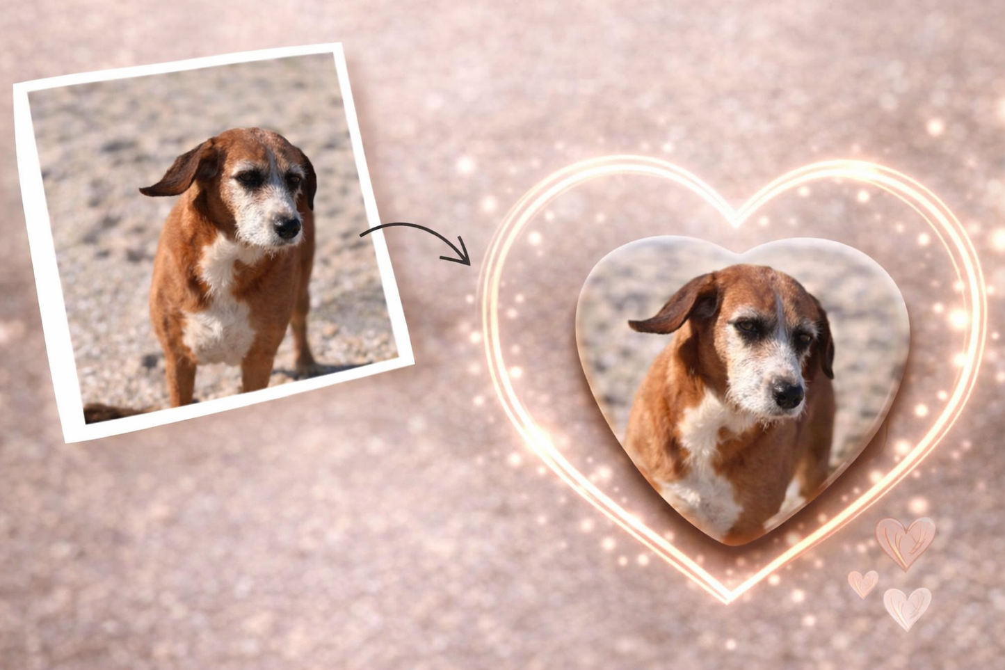 Dein persönlicher Herzmagnet